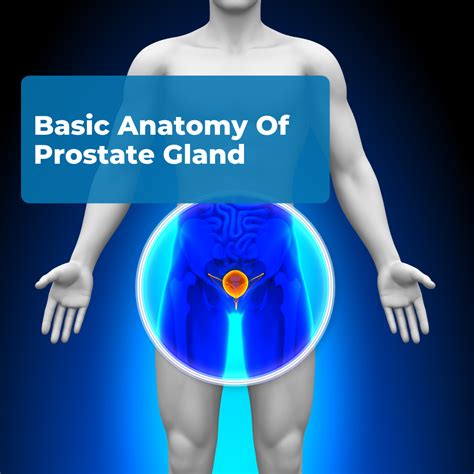 Use plenty of lube. . Prostate dildoing
